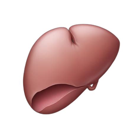 Liver | AI Emoji Generator