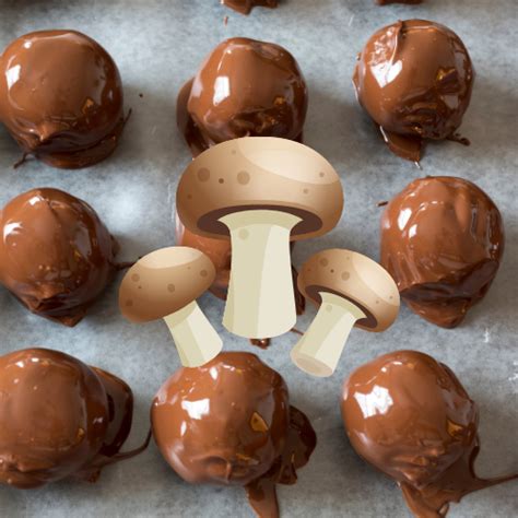 The Mushroom Chocolate Trend: What Buyers Need to Know