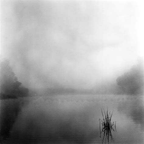 Morning Fog | Siobhan Gazur Photography