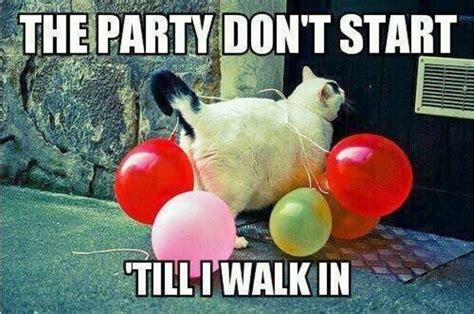 100 Amazing Party Memes - Funny Memes