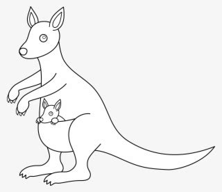 Kangaroo PNG & Download Transparent Kangaroo PNG Images for Free - NicePNG