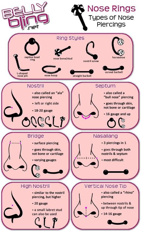 Pin by Nati Ely on Piercings & Adornments | Different types of ...