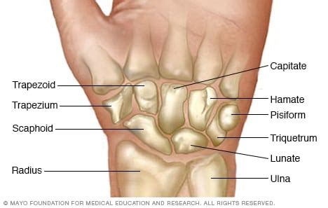 Wrist pain - Symptoms and causes - Mayo Clinic