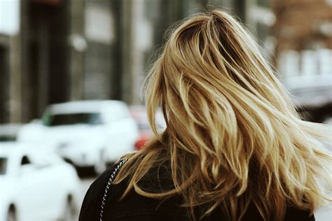 Free Stock Photo of Back of Women's Head with blonde hair - Public ...