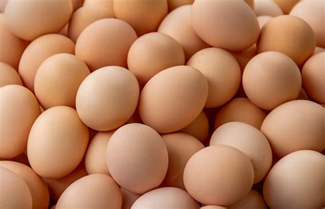 Nutritional benefits of brown eggs - Abhi Eggs