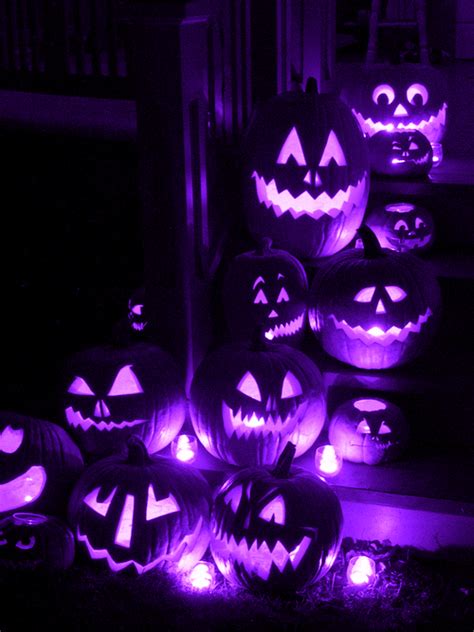 Purple Pumpkins! - The Purple Store's Purple Blog