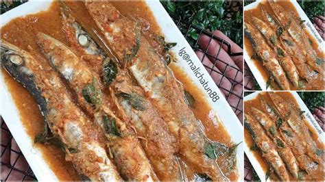 Cara Masak Ikan Barakuda / Mengenal Ikan Barakuda Atau Ikan Alu Alu Yang Berbahaya / Siram di ...