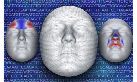 Genetics of human face begin to reveal underlying profile - Family World News