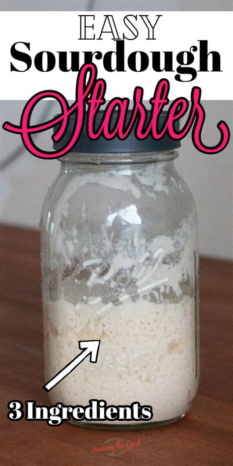 Easy Steps To Make A Homemade Sourdough Starter From Scratch | Savoring ...