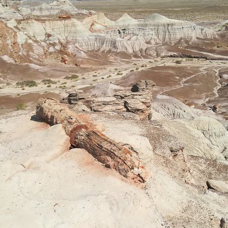 Petrified Forest National Park (Holbrook) - 2019 All You Need to Know ...