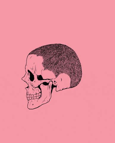 Skull GIF - Find & Share on GIPHY
