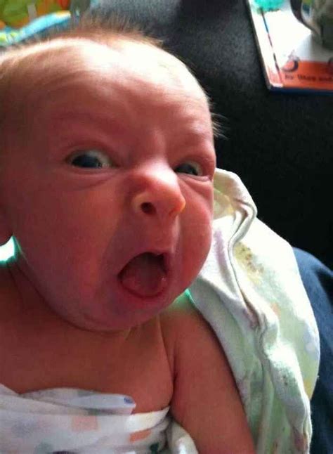 25 Types Of Hangovers Illustrated With Baby Photos | Baby jokes, Funny baby pictures, Funny baby ...