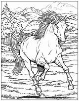 Horse  Horses Adult Coloring Pages sketch template