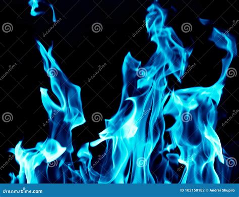 Blue Flames on a Black Background Stock Photo - Image of flame, background: 102150182