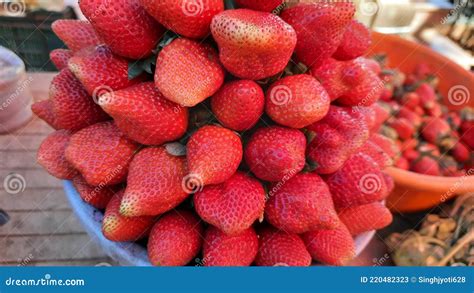 India Strawberry Mahabaleshwar Stock Image - Image of citrus, tomato: 220482323