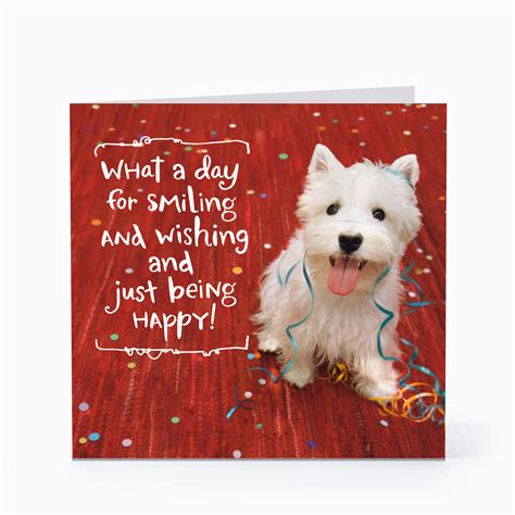 Dog Birthday Card Sayings | BirthdayBuzz