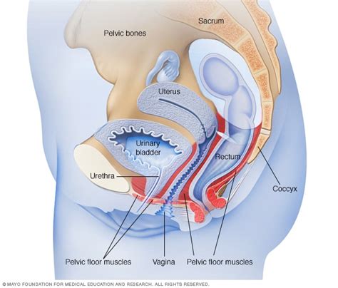 Bladder control: Lifestyle strategies ease problems - Mayo Clinic