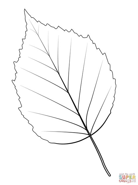 Paper Birch Leaf | Super Coloring Leaves Template Free Printable, Leaf ...