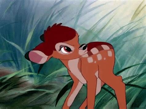 the fawn is standing in tall grass with its head on another fawn's back