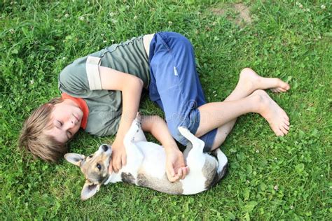 Little Boy Sleeping with a Dog Stock Photo - Image of holding, grass: 42630588