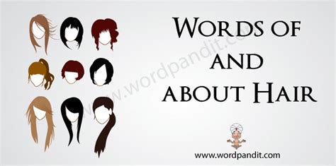 Hair related words