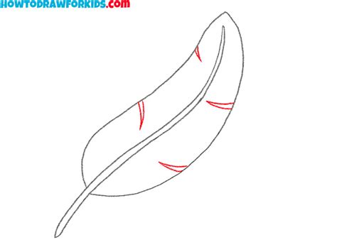 How to Draw a Bird Feather - Easy Drawing Tutorial For Kids