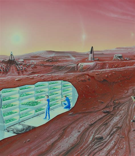 Elon Musk Will Explain Tuesday How He Wants to Colonize Mars