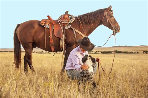 Cowboy Horse Dog - Free photo on Pixabay