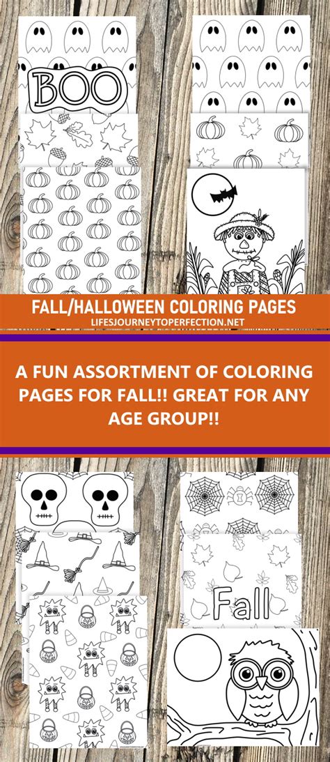 Life's Journey To Perfection: Fun Coloring Pages for Fall/Halloween!!