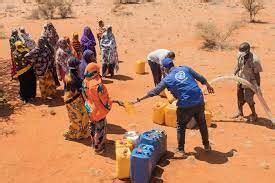 UN alerts that 2.7m people displaced by drought in Horn of Africa | AFRICA CHINA ECONOMY