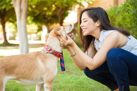 6 Best Jobs for Dog Lovers: Make a Living Off of Loving Canines!