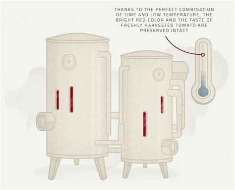 Production Process - Tomato comes first | Petti