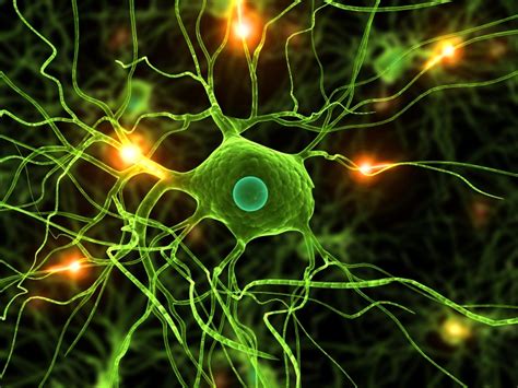 Are Microglia the Most Intelligent Brain Cells