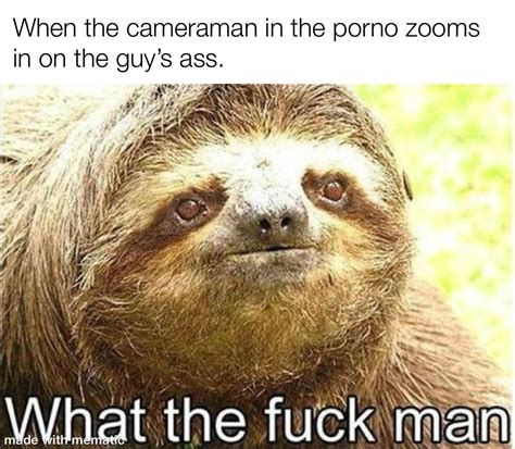 Sloth meme : r/PornoMemes