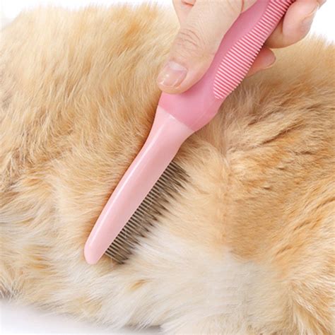 cat flea grooming Cheaper Than Retail Price> Buy Clothing, Accessories and lifestyle products ...
