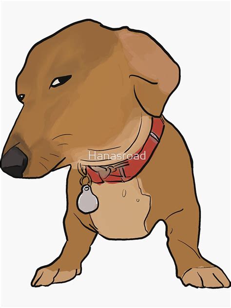 "Side eye dog dachshund meme" Sticker for Sale by Hanasroad | Redbubble