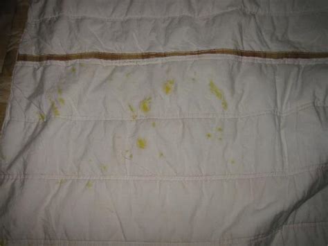 Dirty blanket - Picture of Cinnamon Lakeside Colombo, Colombo - TripAdvisor