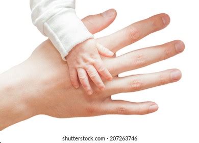 Newborn Baby Parent Hands Isolated On Stock Photo 207263746 | Shutterstock