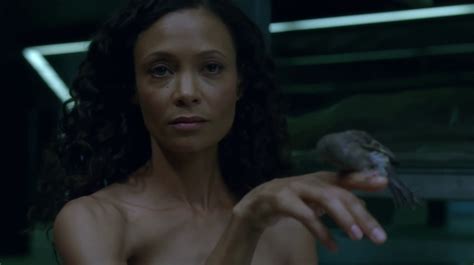 HBO’s ‘Westworld,’ Season 1, Episode 5, “Contrapasso” Recap | Westworld ...