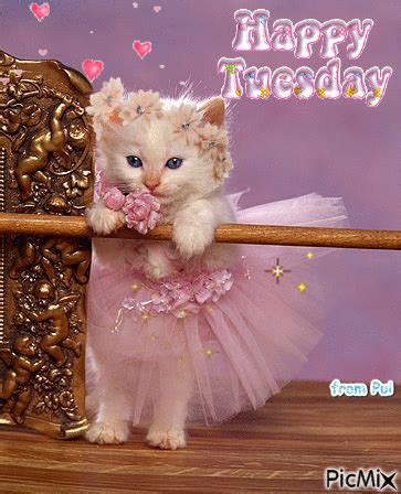 Ballerina Kitty: Happy Tuesday Pictures, Photos, and Images for ...