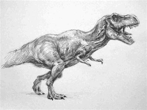 Dinosaur Pencil Drawing at PaintingValley.com | Explore collection of ...