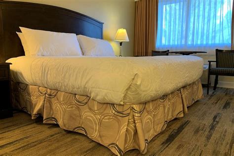 Best Western Plus Burnaby Hotel Burnaby | Bookonline.com