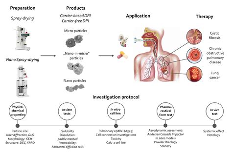 SZTE TIK | Szegedi Tudományegyetem | Particle engineering for formulation of dry powder ...