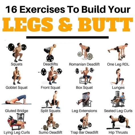 7 Must-Do Leg Exercises for Size and Strength - How to Do It? | Leg and ...