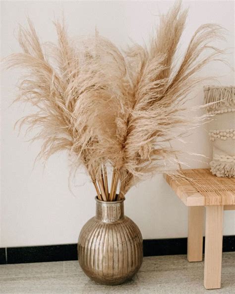 Vase With Pampas Grass - Photos All Recommendation