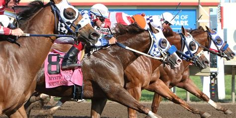 Quarter Horse Racing Straight And Strong At Canterbury Park - Canterbury Park