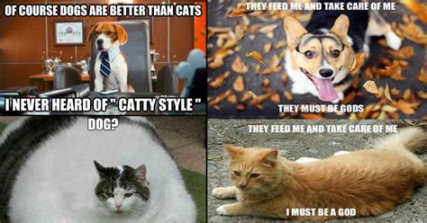 TOP 500+ Memes Cat Dog | Cat memes, Dog cat, Cat vs dog