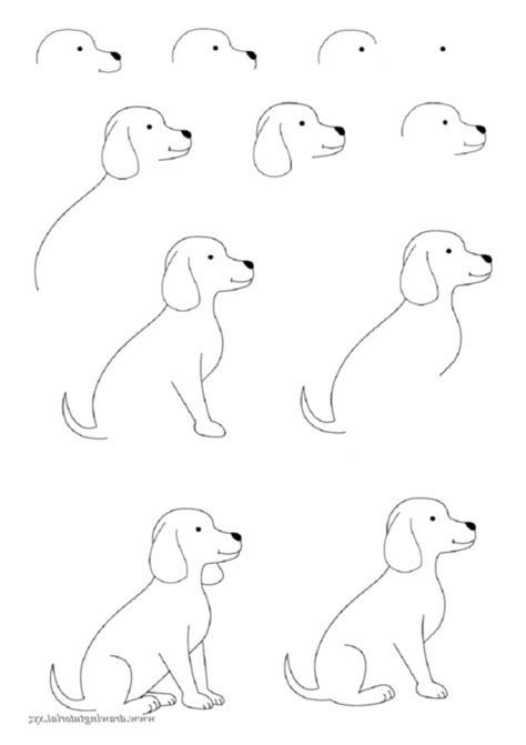 How To Draw Easy Animals Step By Step Image Guide