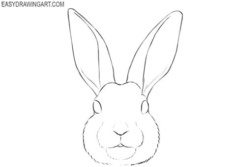 How to Draw a Bunny Face | Easy Drawing Art