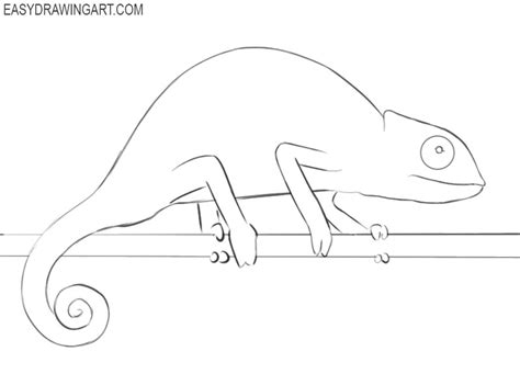 How to Draw a Chameleon Easy - Easy Drawing Art